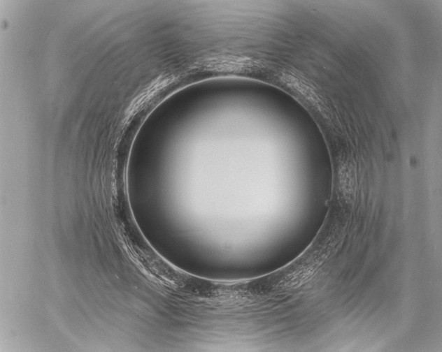 X0000060740682200511141133