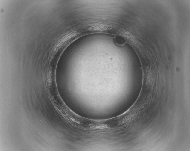 X0000060740683200511141133