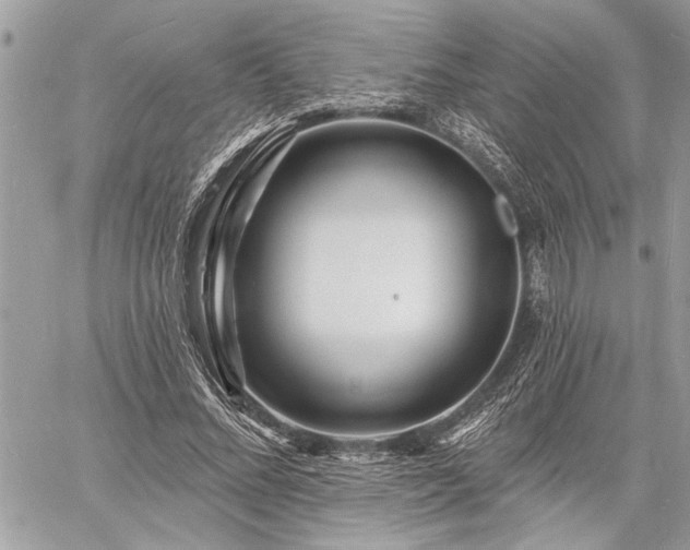 X0000060740684200511141133