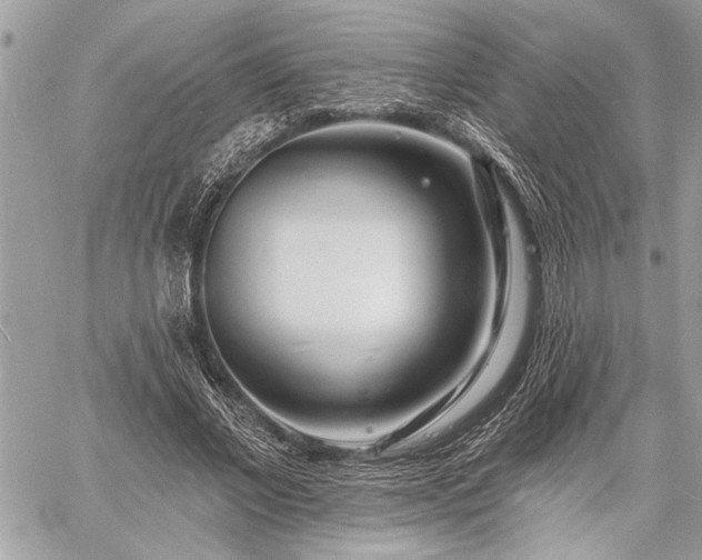 X0000060740685200511141133