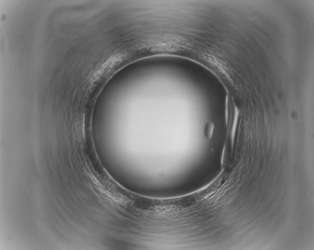 X0000060740686200511141133