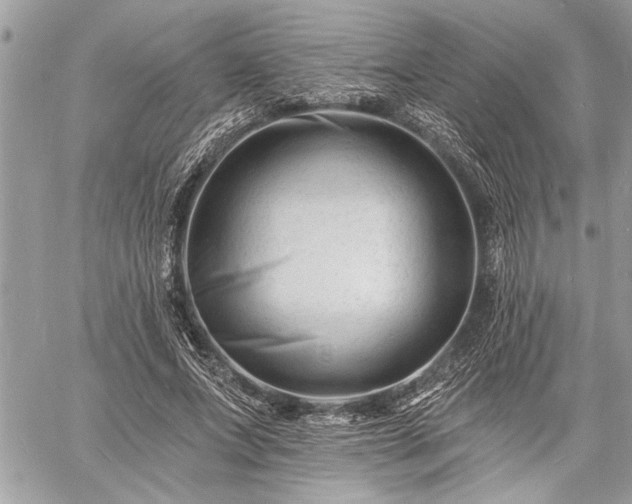 X0000060740687200511141133