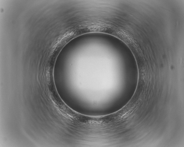 X0000060740690200511141133