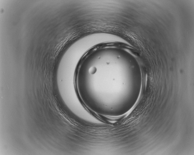 X0000060740691200511141133