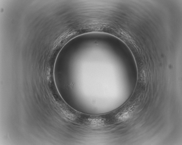 X0000060740693200511141133