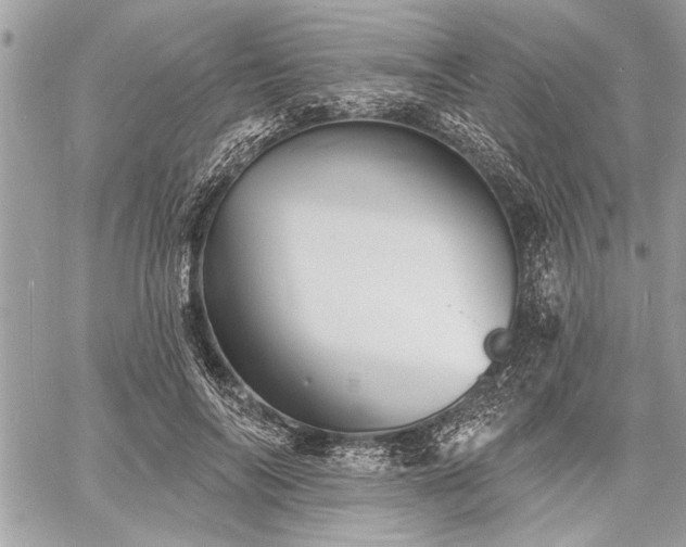 X0000060740694200511141133