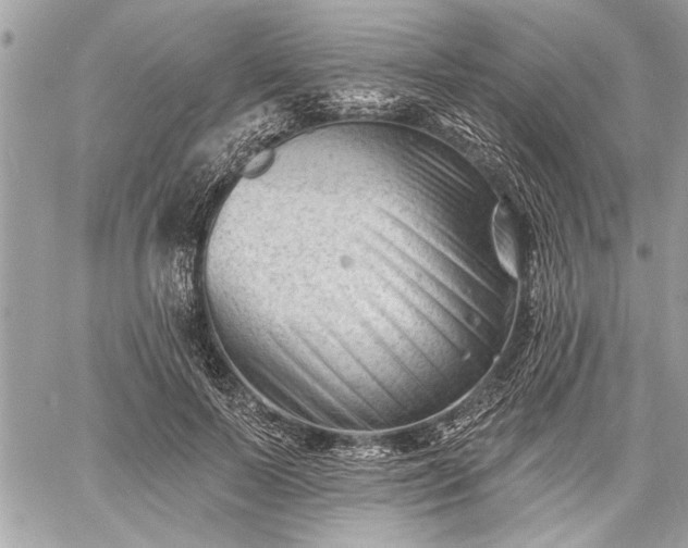 X0000060740695200511141133