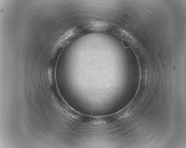 X0000060740696200511141133