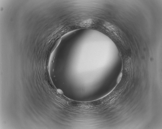 X0000060740697200511141133