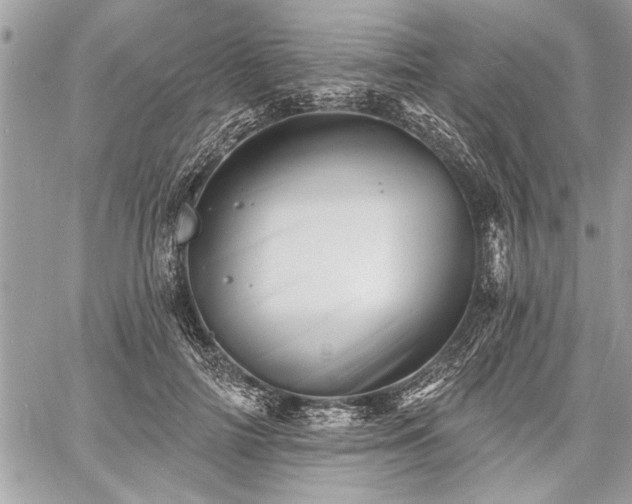 X0000060740698200511141133