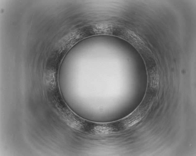 X0000060740699200511141133