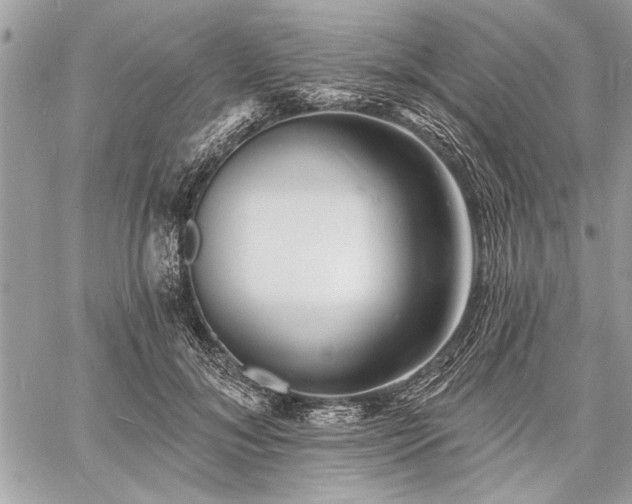 X0000060740700200511141133