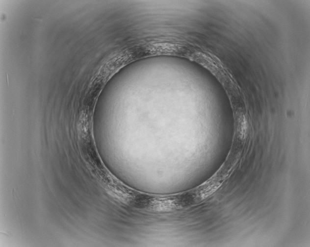 X0000060740701200511141133