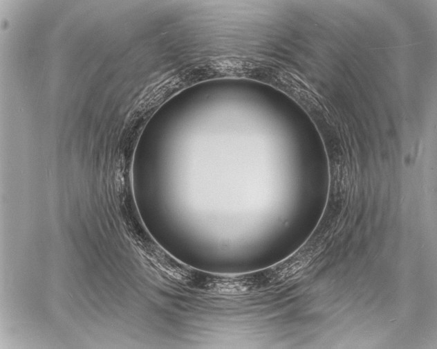 X0000060740702200511141133