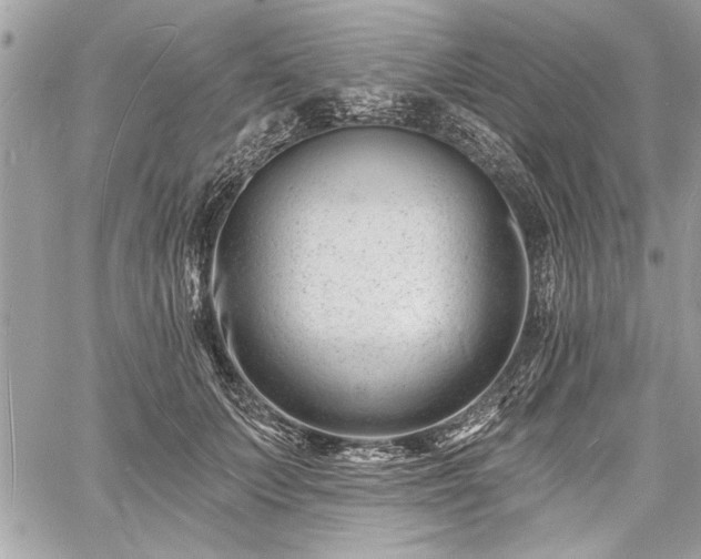 X0000060740703200511141133