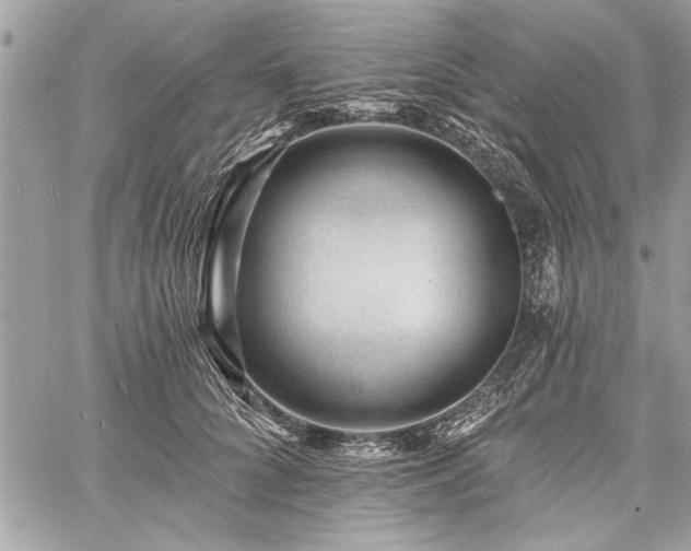 X0000060740704200511141133