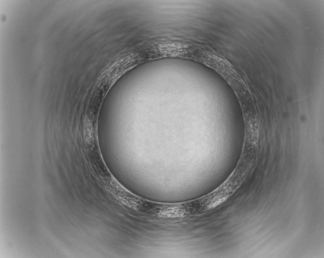 X0000060740705200511141133