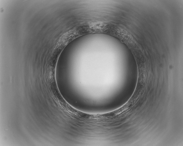 X0000060740706200511141133