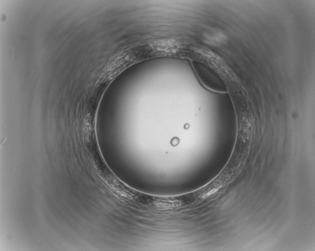 X0000060740707200511141133