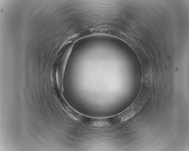 X0000060740708200511141133