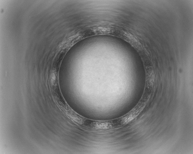 X0000060740709200511141133