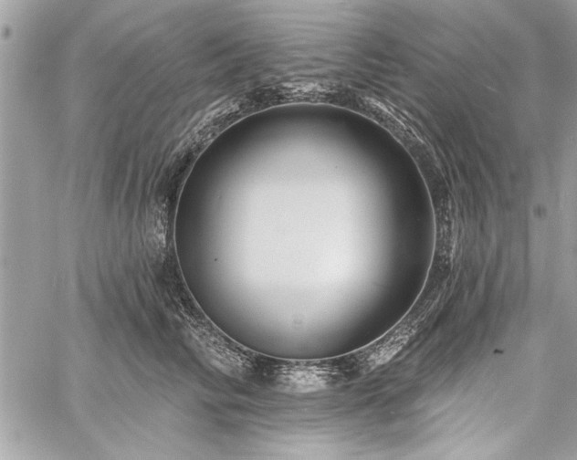 X0000060740710200511141133