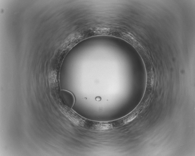 X0000060740711200511141133