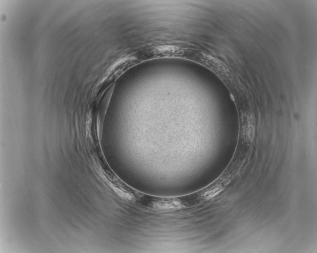 X0000060740712200511141133