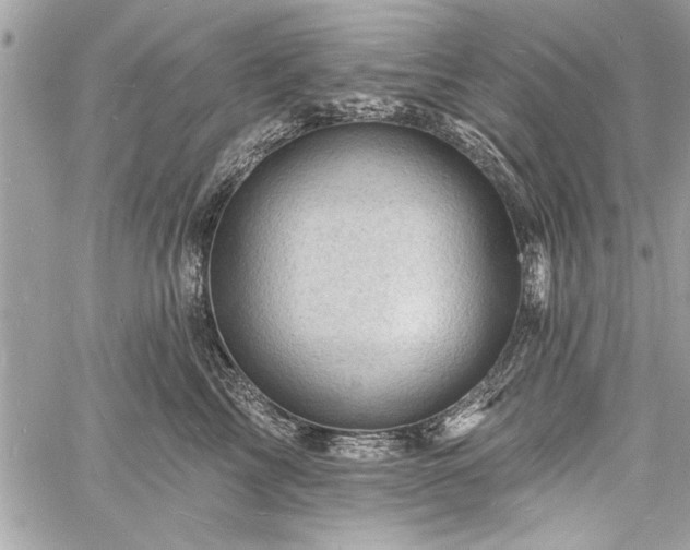 X0000060740713200511141133