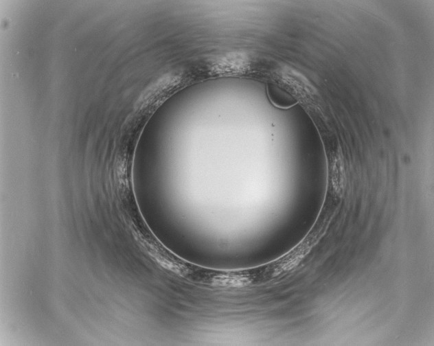 X0000060740714200511141133