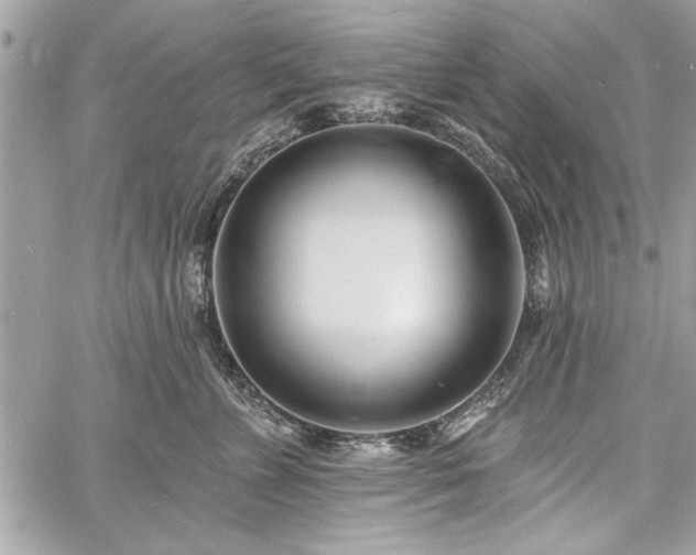 X0000060740715200511141133