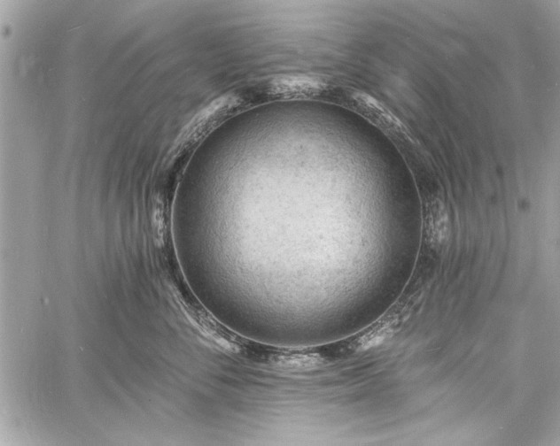 X0000060740716200511141133