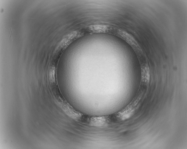 X0000060740717200511141133