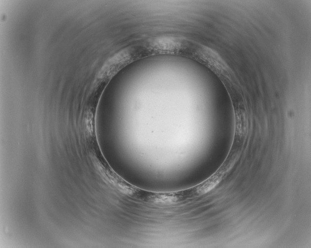 X0000060740718200511141133