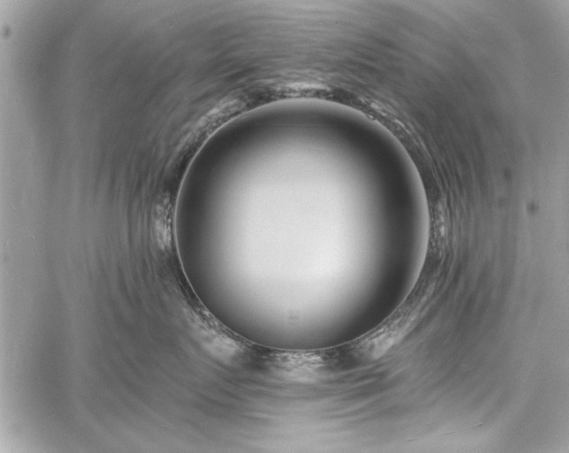 X0000060740719200511141133