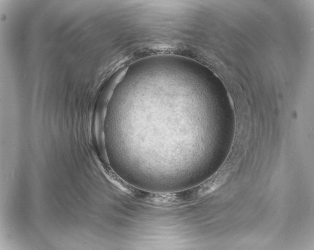 X0000060740720200511141133