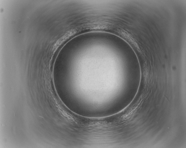 X0000060740721200511141132