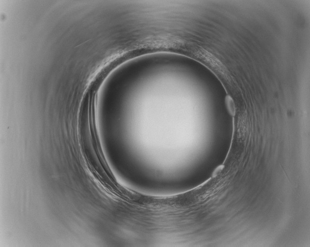 X0000060740722200511141132