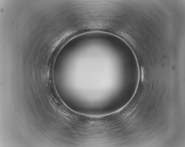 X0000060740723200511141132