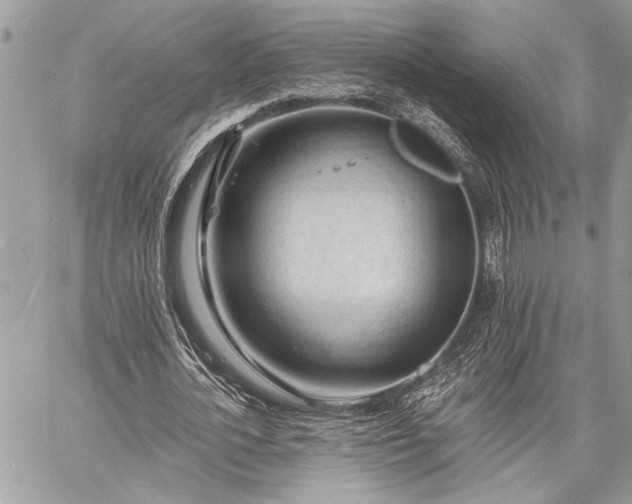 X0000060740724200511141132