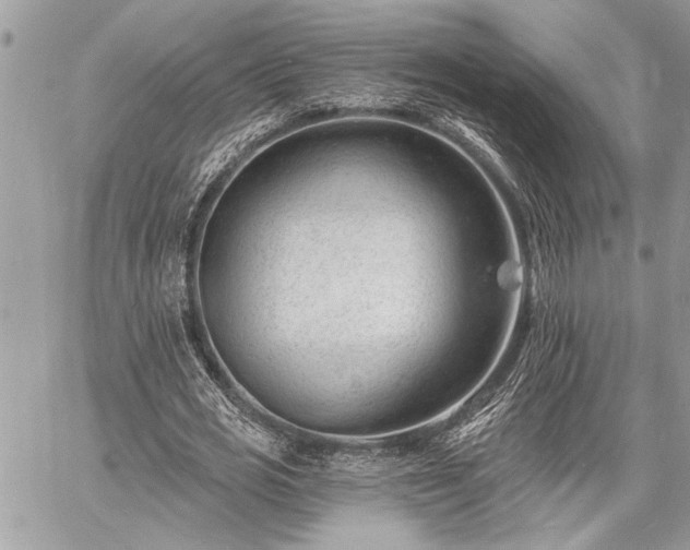 X0000060740725200511141132