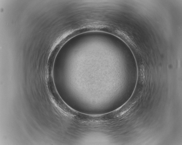 X0000060740726200511141132