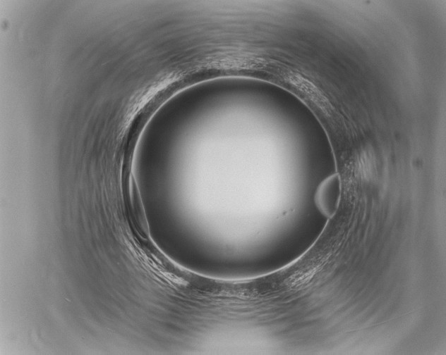 X0000060740727200511141132