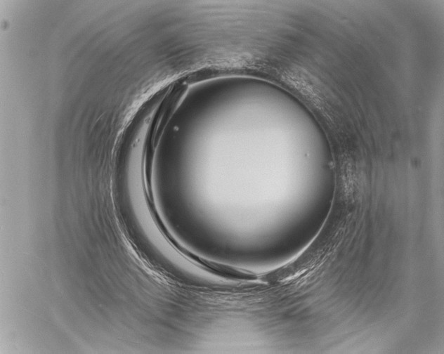 X0000060740728200511141132