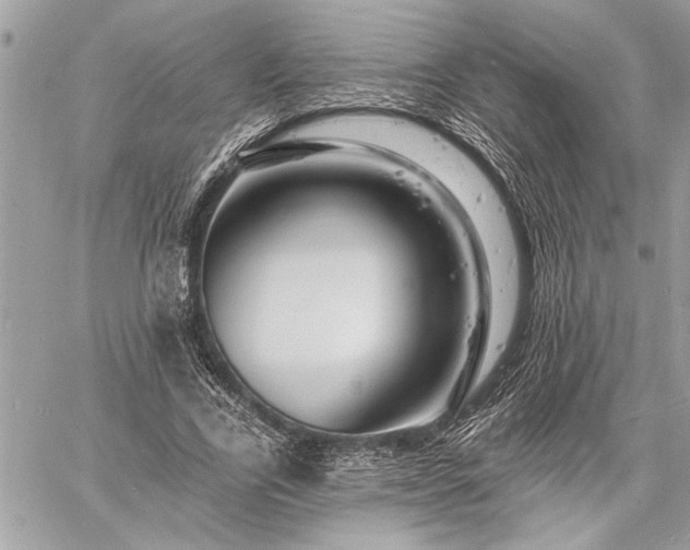 X0000060740731200511141132