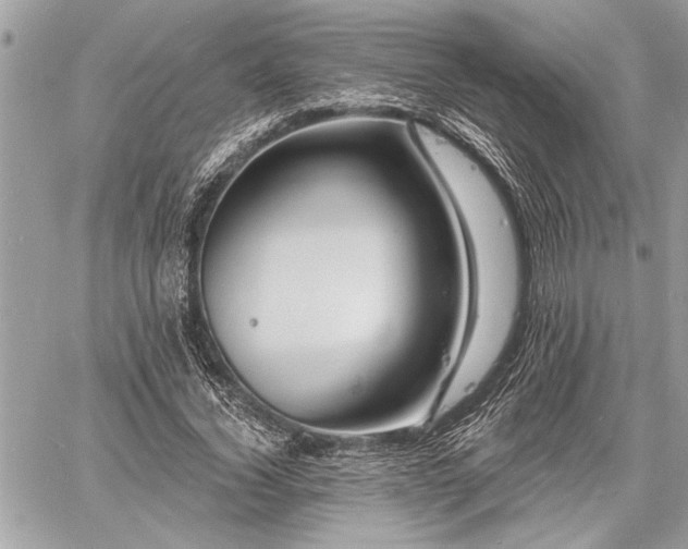 X0000060740732200511141132