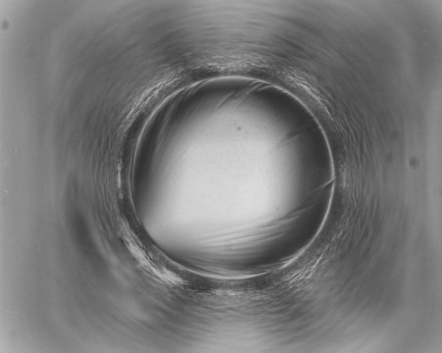 X0000060740733200511141132