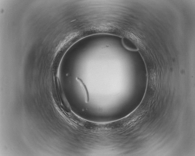 X0000060740734200511141132