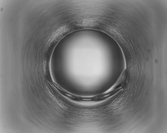 X0000060740735200511141132