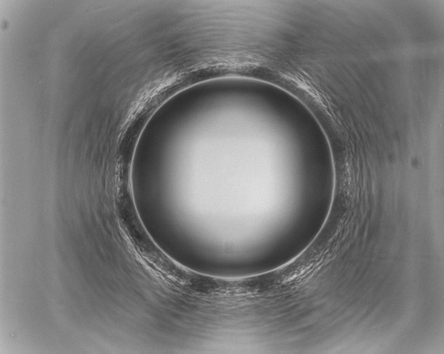 X0000060740736200511141132